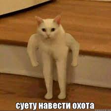 Без названия.jpeg