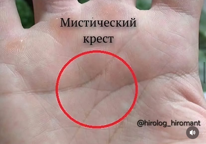 IMG_9892.jpeg