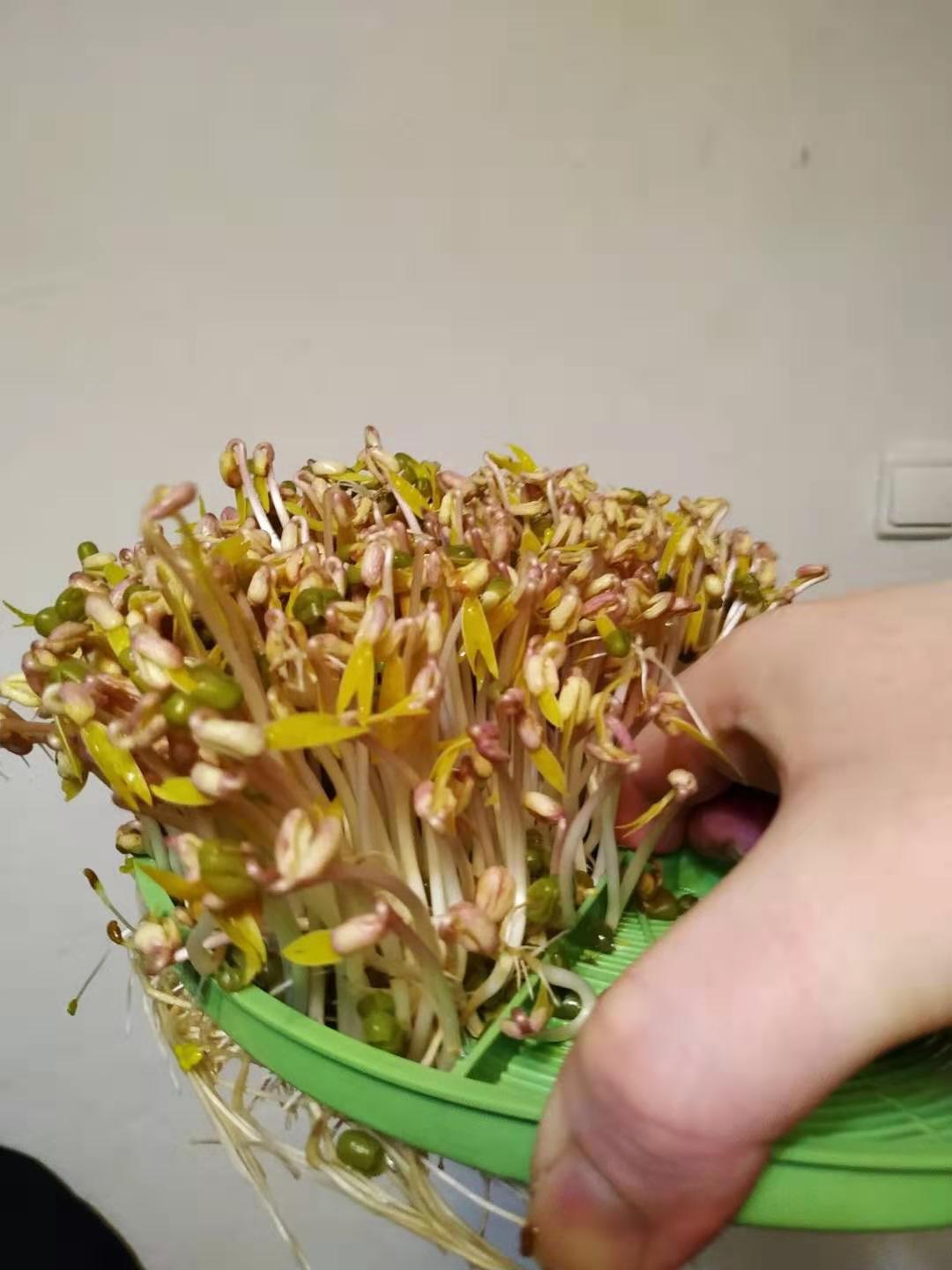 WeChat Image_20200210181820.jpg