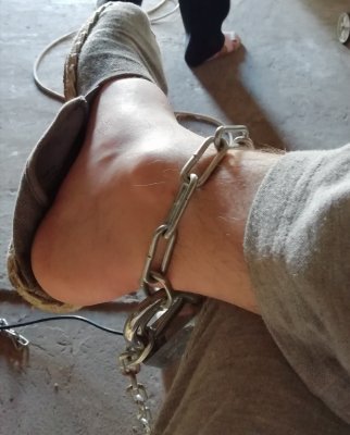 IMG_20210803_161609.jpg IMG_20210803_161609.jpg