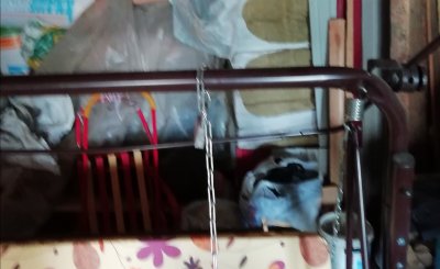 IMG_20210803_161903.jpg IMG_20210803_161903.jpg