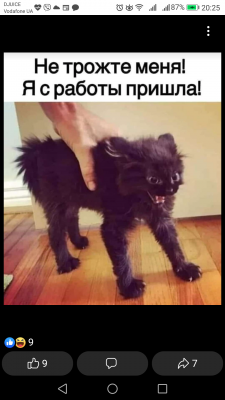 Screenshot_20220113-202544.png Screenshot_20220113-202544.png