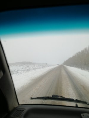 IMG_20221105_150534.jpg IMG_20221105_150534.jpg