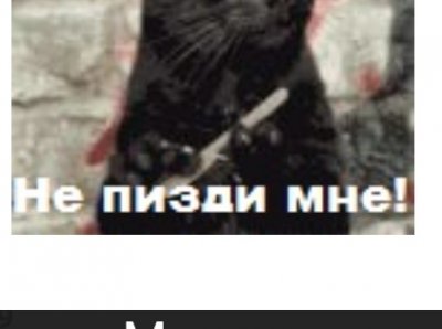 IMG_20230309_010321.jpg IMG_20230309_010321.jpg