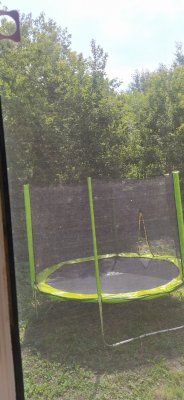 IMG_20230703_110147.jpg IMG_20230703_110147.jpg