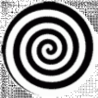 Теоров Райконов